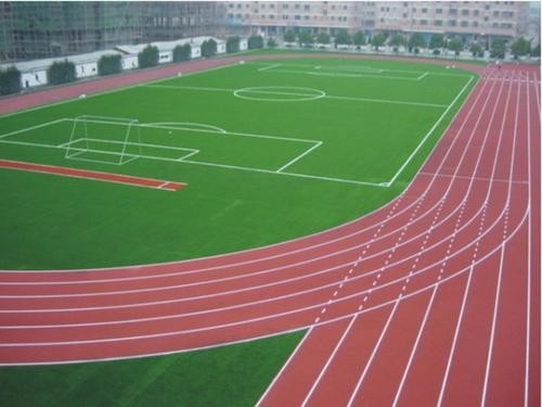 上海市体育局认定中体城奉贤都市运动中心等6个项目