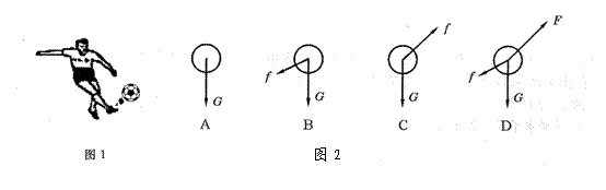 请画出足球受力的示意图(不计空气阻网友分享)