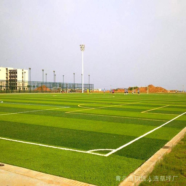 
足球场的草皮是什么草？草坪怎么养护？！